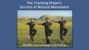 Secrets of Natural Movement Vol 1